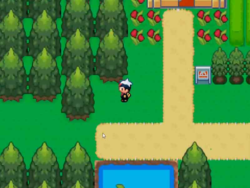 Pokémon Ruby Renev GBA