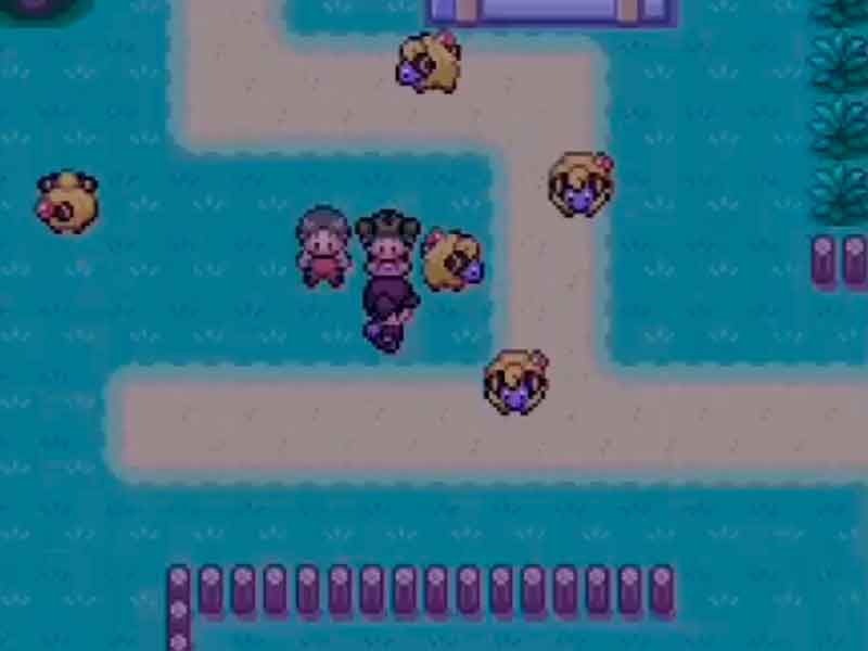 Pokémon Dreams GBA Nueva Historia