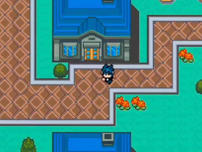 Pokemon Scandal Live Tour GBA