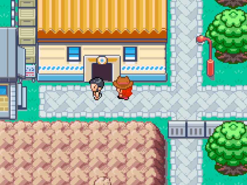 Pokémon Island Completo