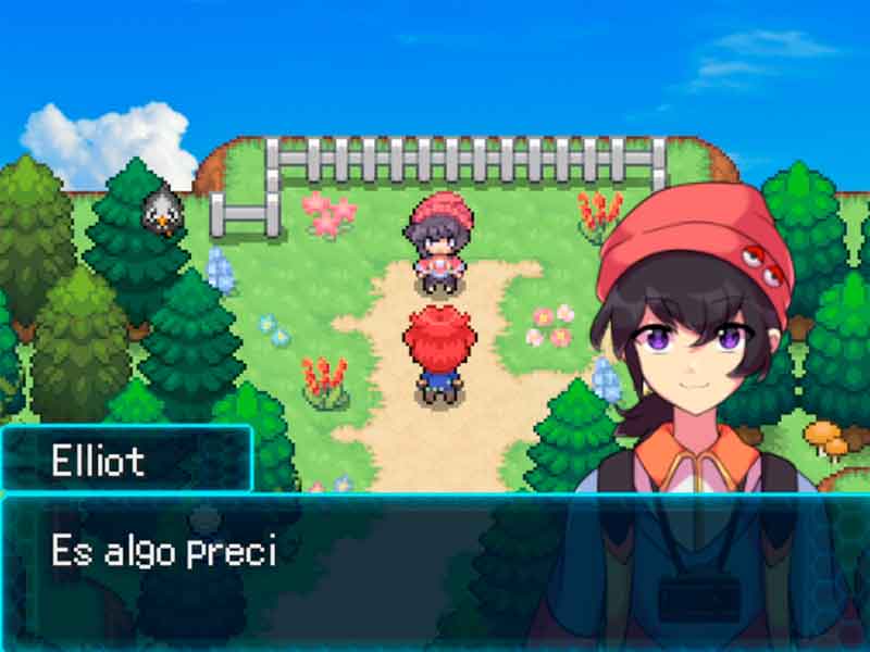 Pokémon Realidea System