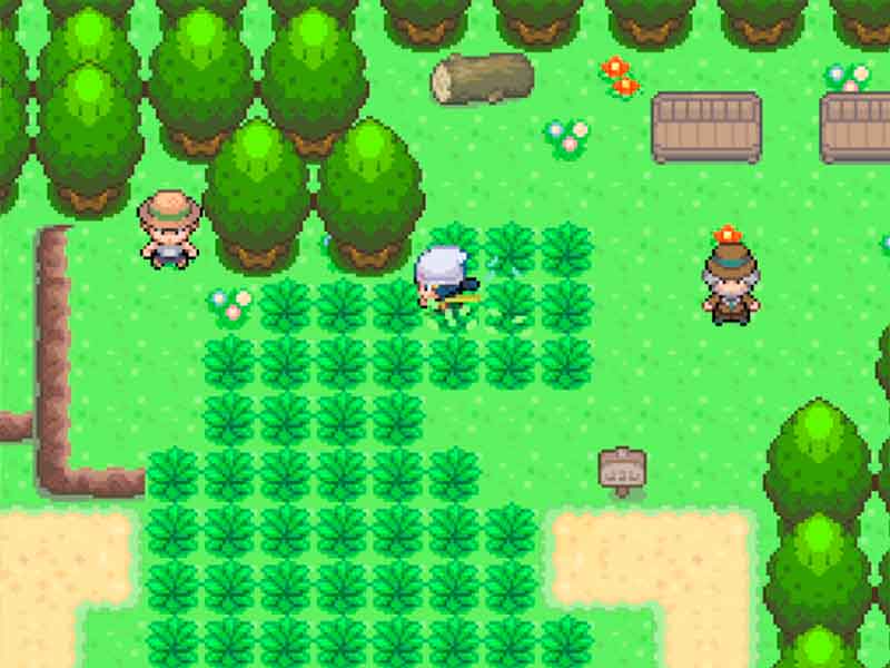Pokémon Renacer en Español
