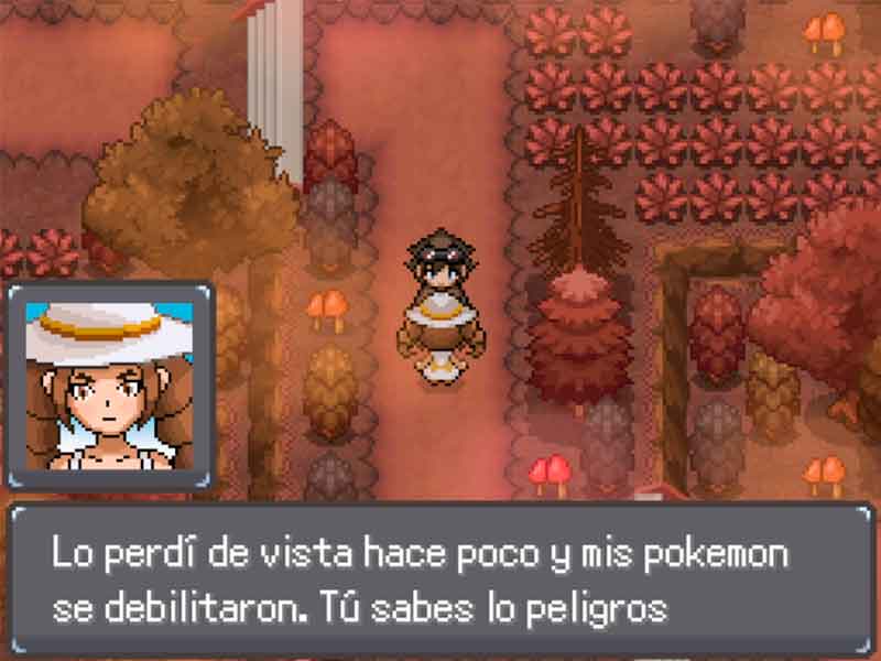 Pokémon Cataclismo en Español