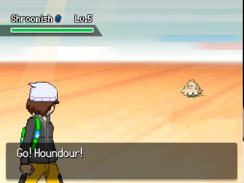 Pokémon Black Spirit