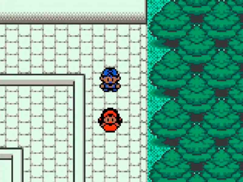 Pokémon Blanco y Negro 3 GBC