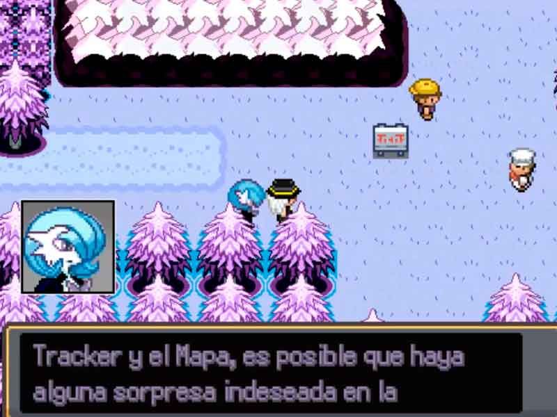 Pokémon the soul of hope