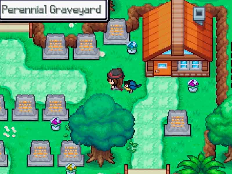 Pokémon Enigma