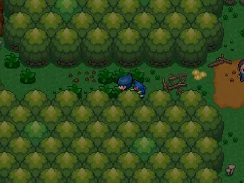 Pokémon Recruitment