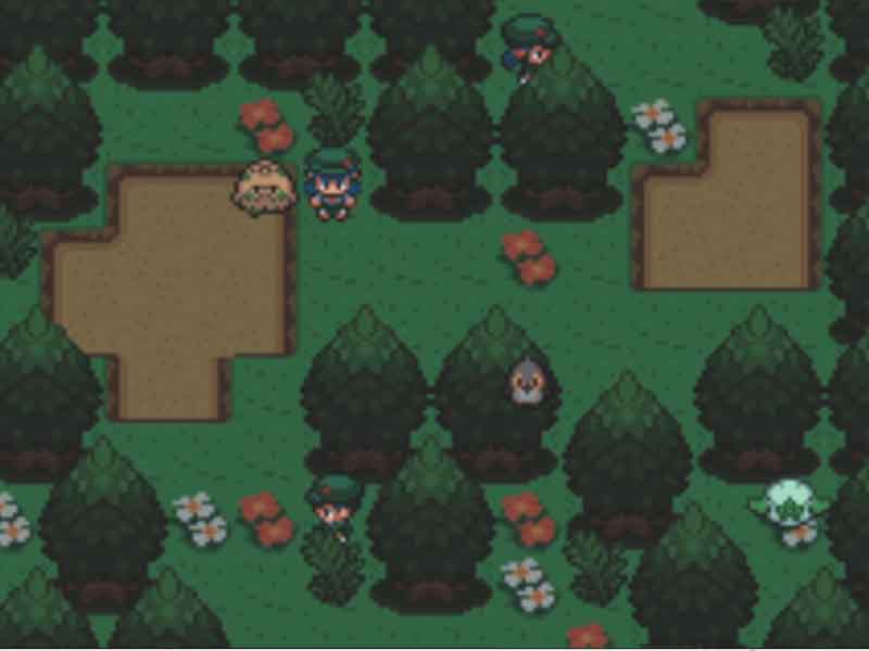 Pokemon Coliseo Eterno en Español