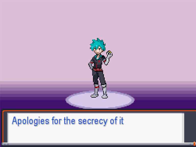 Pokémon the new order