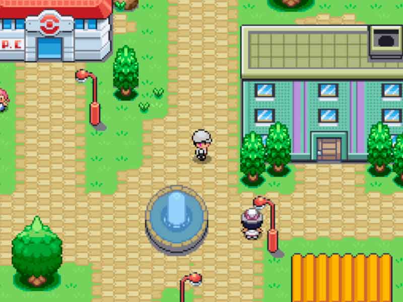 Pokémon the new order