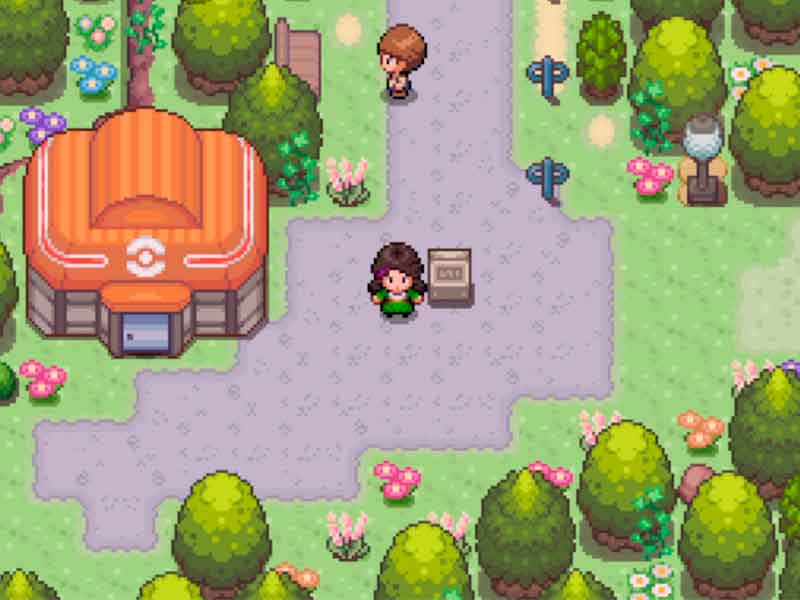 Pokémon chaos in vesita