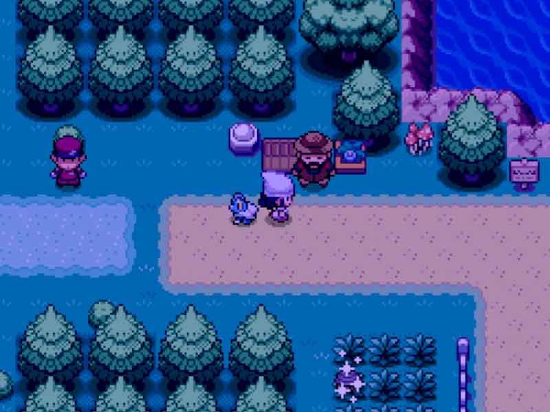 Pokémon keishou