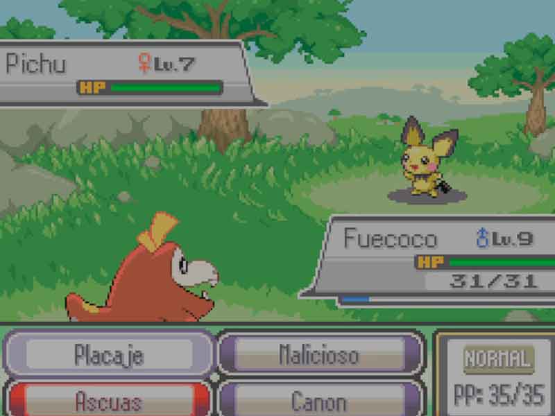 Pokémon Hero