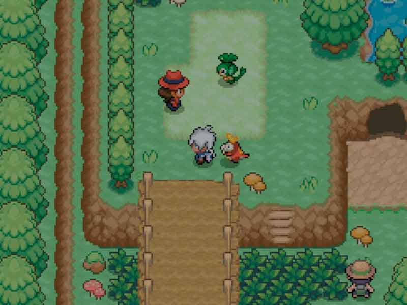 Pokémon Hero