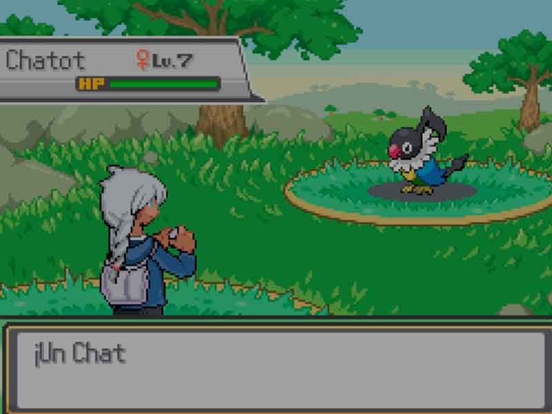Pokémon Hero